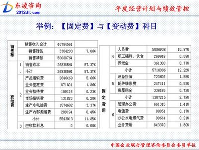 年度经营计划与绩效管控 财务咨询视角下的企业战略落地